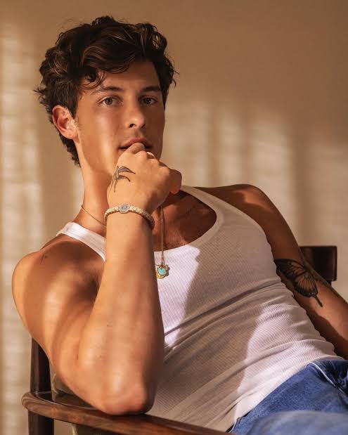 Shawn Mendes Opens Up About Sexuality During Concert: “I’m Just Figuring It Out”