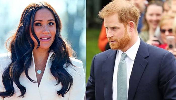 Prince Harry and Meghan Markle Launch Plans for a Global Property Portfolio