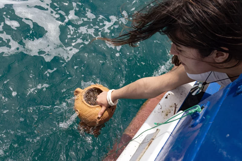 Underwater Guardians: Sculptures Defend Italy’s Seas from Destructive Fishing