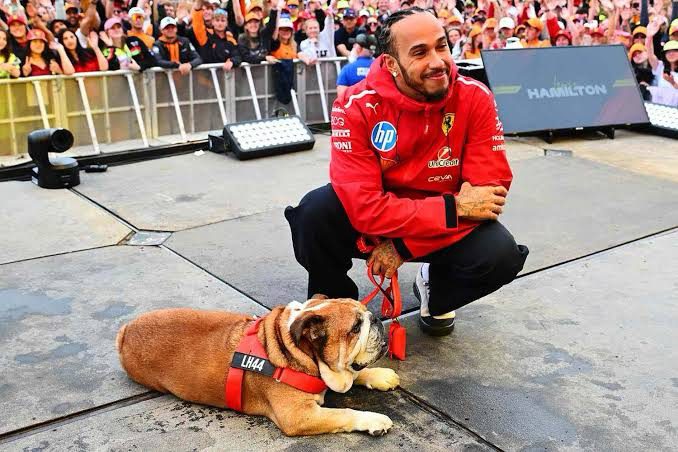 Lewis Hamilton Dog Roscoe Passes Away; F1 Champion Shares Heartbreak