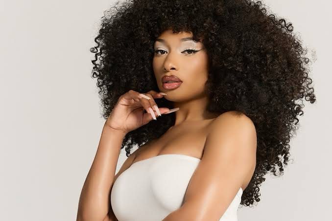 Megan Thee Stallion Earns Mental Health Champion of the Year Award