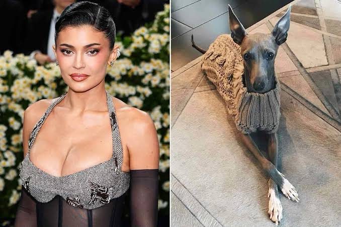 Kylie Jenner Mourns Death of Beloved Dog Norman: “My Heart Aches”